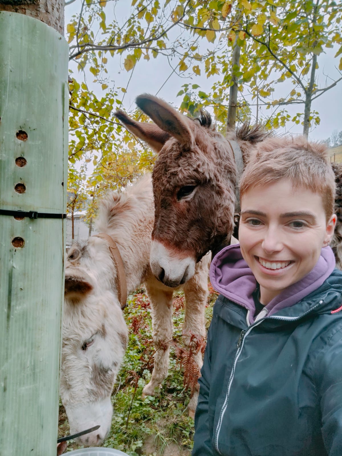 Imagen de WhatsApp 2024 11 18 a las 13.37.23 1b33f47b