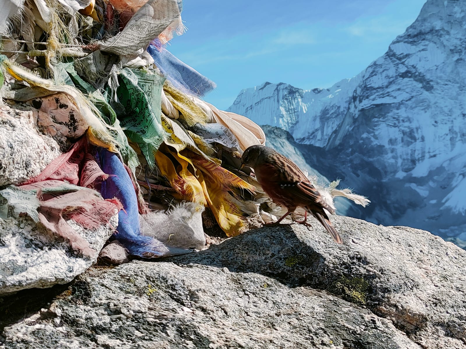 WhatsApp Image 2024 12 13 at 17.26.36 3