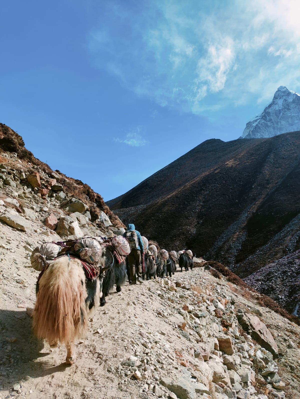 WhatsApp Image 2024 12 13 at 17.26.37