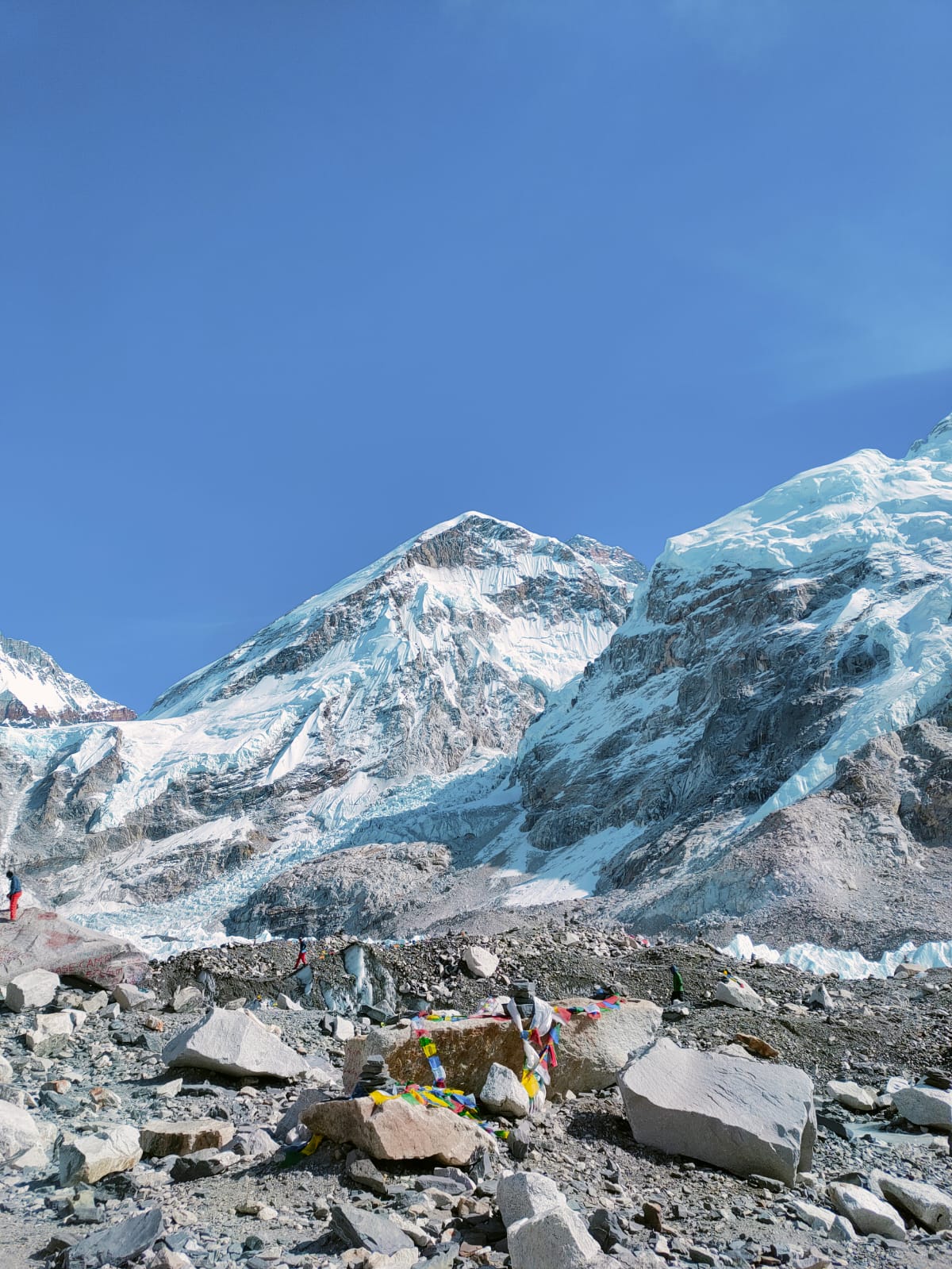 WhatsApp Image 2024 12 13 at 17.26.37 2